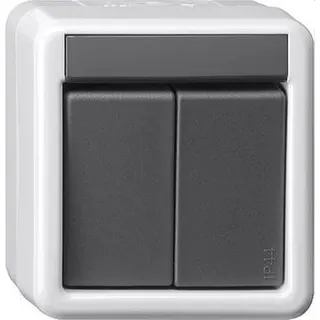 Gira Taster 516130 KNX/EIB 2fach BA WG AP 1 LED gr