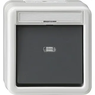 Gira Wipptaster 015230 + Meldekontakt WG AP grau