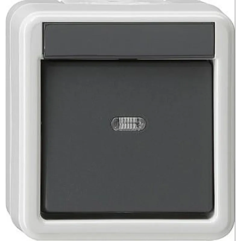 Gira Wippschalter 010630 Wechsel WG AP grau