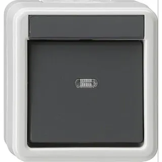 Gira Wippschalter 010630 Wechsel WG AP grau
