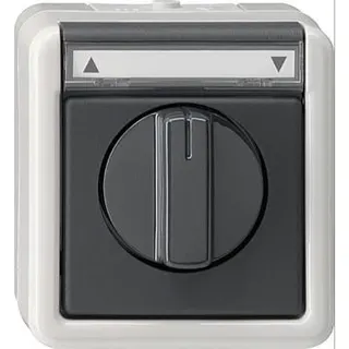Gira Jalousieschalter 015430 1polig AP WG grau