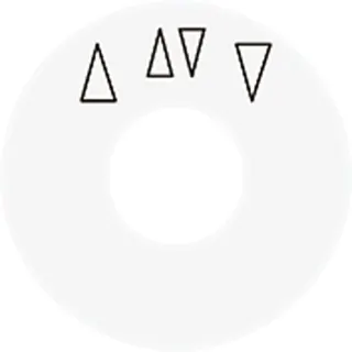 Jung Skalenscheibe, mit Pfeilsymbolen, alpinweiß SKS1234.10WW