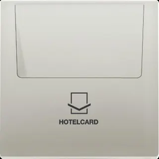 Jung Hotelcard-Schalter (ohne Taster-Einsatz), Hotelcard, Serie LS, Edelstahl ES2990CARD