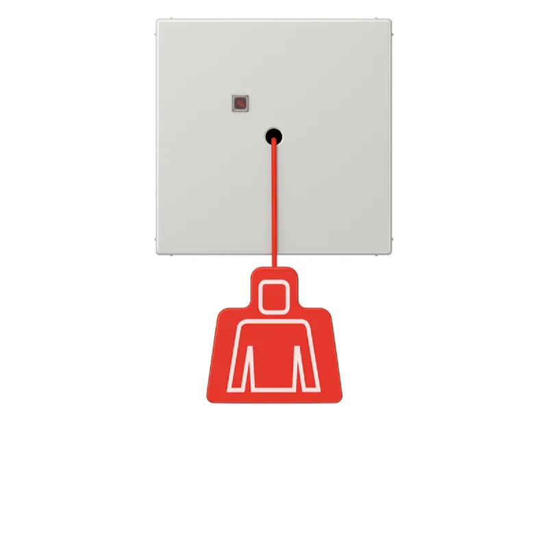 Jung Notrufsystem Zugtaster, Serie LS, lichtgrau NRSLS0834ZTLG