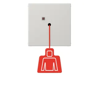 Jung Notrufsystem Zugtaster, Serie LS, lichtgrau NRSLS0834ZTLG