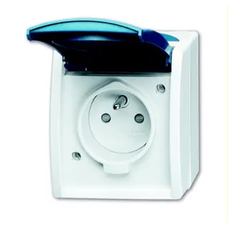 Busch-Jaeger Steckdoseneinsatz 23 MWKS-53-504 ocean, grau/blaugrün