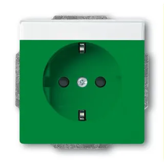 Busch-Jaeger Steckdoseneinsatz SCHUKO 20 EUCNB-13-82, grün