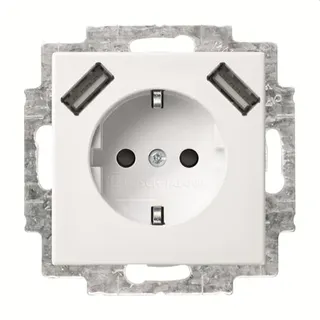 Busch-Jaeger Doppelsteckdose SCHUKO 20 EUCB2USB-914 2x USB, alpinweiß