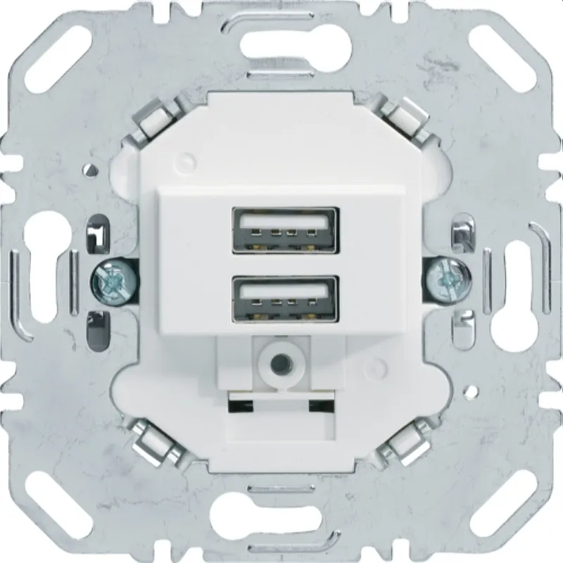 Berker USB-Ladesteckdose 230V 2fach 3.0A Tragring eck. polarweiss 260209