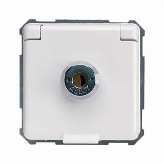 ELSO Steckdose 225064 16A verschiedene Schliessung rw