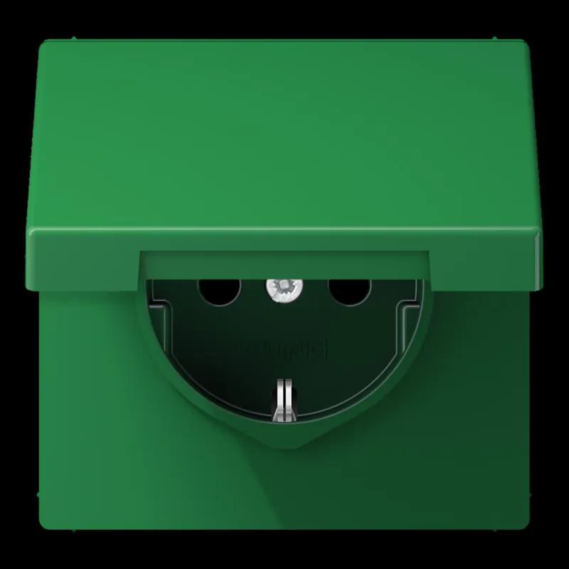 Jung SCHUKO Steckdose, 16 A 250 V ~, Klappdeckel, Thermoplast, Serie LS, grün (für SV) LS1520BFKLGN