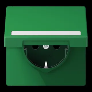 Jung SCHUKO Steckdose, 16 A 250 V ~, mit Schriftfeld, Thermoplast, Serie LS, grün (für SV) LS1520BFNAKLGN