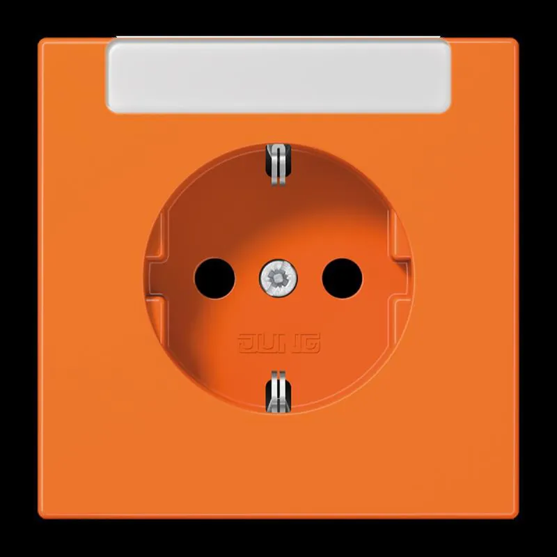 Jung SCHUKO Steckdose, 16 A 250 V ~, mit integriertem Beschriftungsfeld (sprühnebeldicht), SAFETY+, Thermoplast, Se LS1520INAO