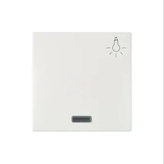 ELSO Wippe 273154 bel. Symbol Licht JOY rw