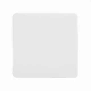 ELSO Wippe 213604 Universal-Kreuzschalter/Taster rw