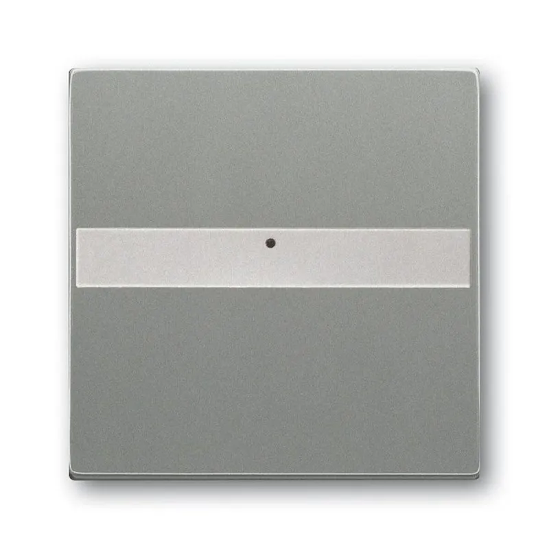 Busch-Jaeger 1764 NLI-803 mit Beschriftungsfeld Wippe