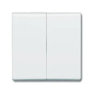 Busch-Jaeger 2105-32 AW44 Serienwippe