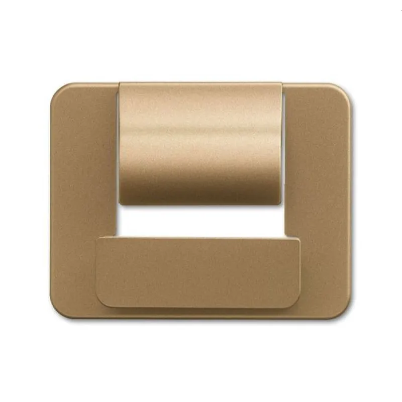Busch-Jaeger Zentralscheibe 6477-21 für powerDock