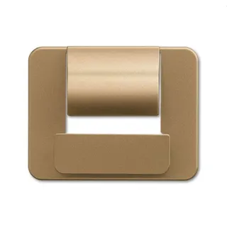 Busch-Jaeger Zentralscheibe 6477-21 für powerDock