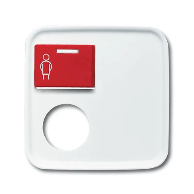 Busch-Jaeger Zentralscheibe 2548-071 E-214-101 Reflex-SI