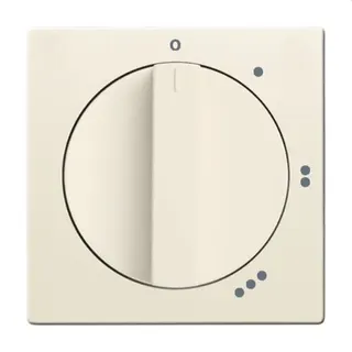 Busch-Jaeger Zentralscheibe 2542 DR/01-82, elfenbeinweiß