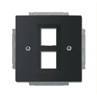 Busch-Jaeger Zentralscheibe 2561-02-885, schwarz matt