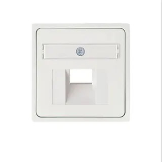 ELSO Zentralplatte 366504 für 1xRJ45 JOY reinweiß