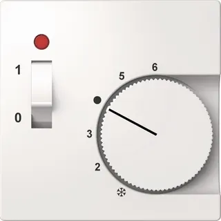 ELSO Zentralplatte ELG227424 für Temperaturregler reinweiß