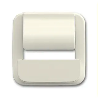 Busch-Jaeger Zentralscheibe 6477-212 für powerDock