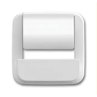 Busch-Jaeger Zentralscheibe 6477-214 für powerDock