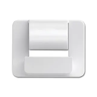Busch-Jaeger Zentralscheibe 6477-24G für powerDock