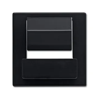 Busch-Jaeger Zentralscheibe 6477-81 für powerDock