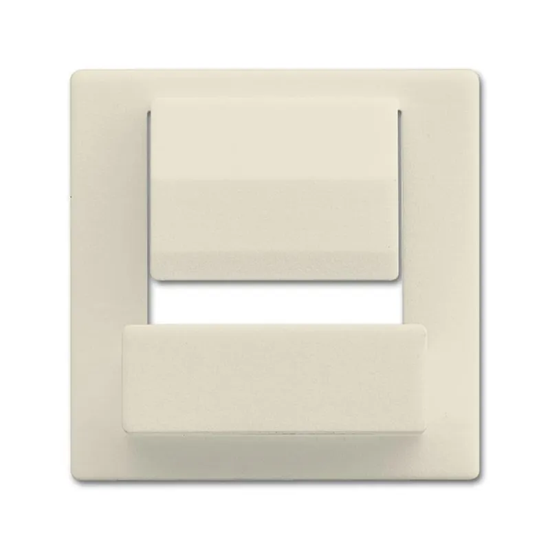 Busch-Jaeger Zentralscheibe 6477-82 für powerDock