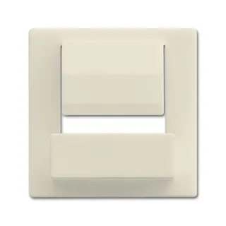 Busch-Jaeger Zentralscheibe 6477-82 für powerDock