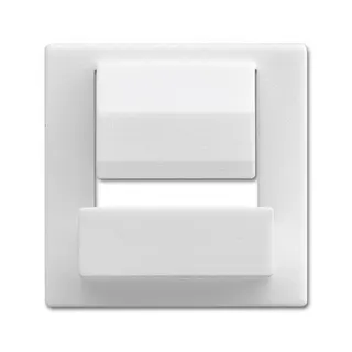 Busch-Jaeger Zentralscheibe 6477-84 für powerDock