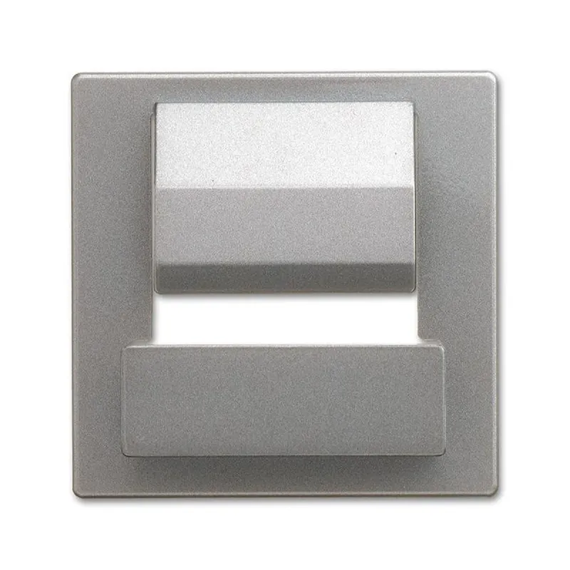 Busch-Jaeger Zentralscheibe 6477-866 für powerDock