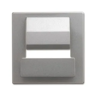 Busch-Jaeger Zentralscheibe 6477-866 für powerDock