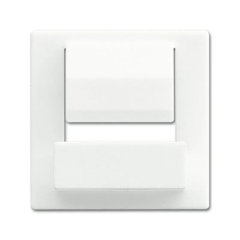 Busch-Jaeger Zentralscheibe 6477-884 für powerDock