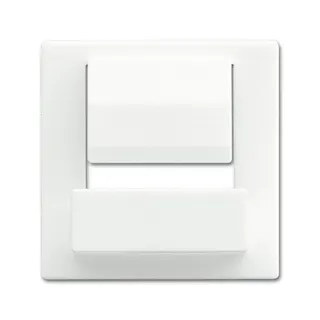 Busch-Jaeger Zentralscheibe 6477-884 für powerDock
