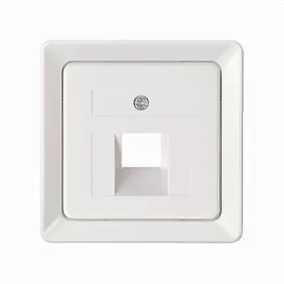 ELSO Zentralplatte 206404 für 1xRJ45 reinweiß