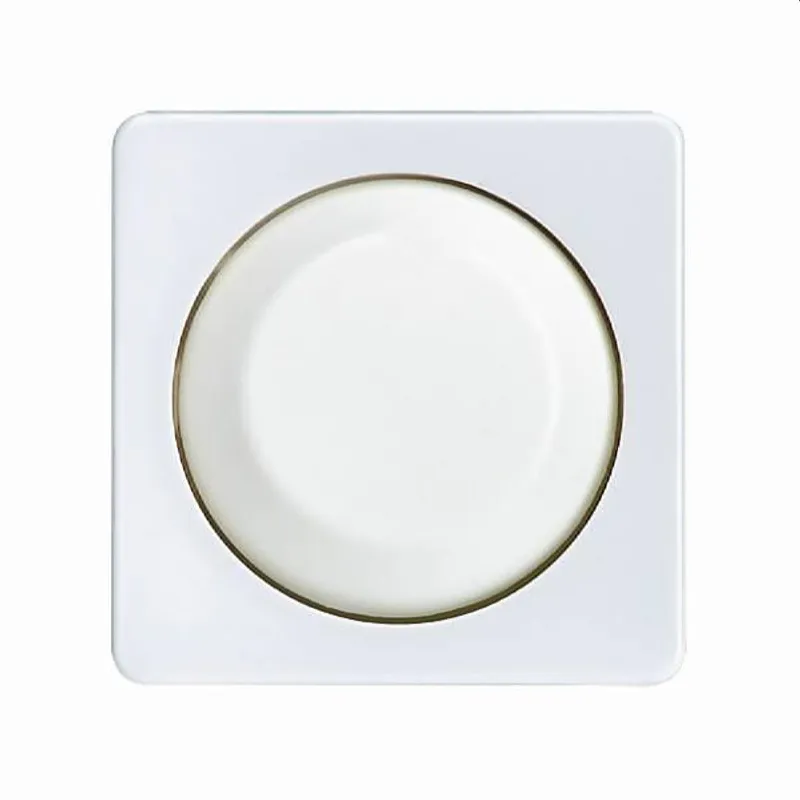 ELSO Zentralplatte 207014 mit Drehknopf Dimmer reinweiß