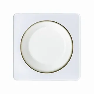 ELSO Zentralplatte 207014 mit Drehknopf Dimmer reinweiß