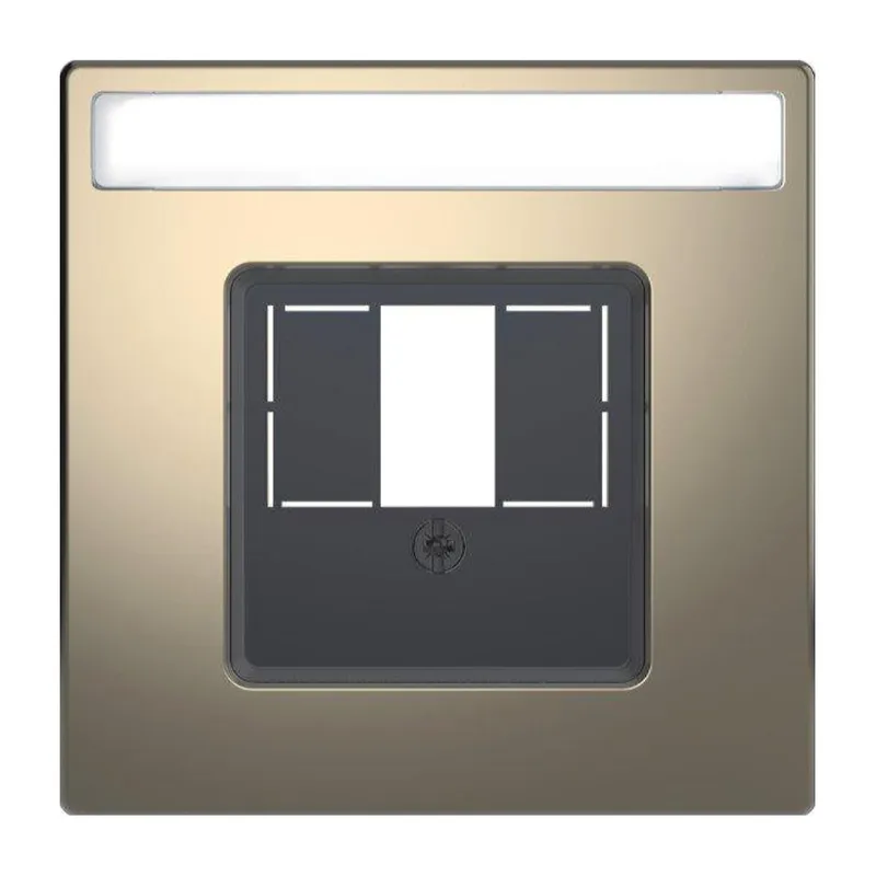 Merten Zentralplatte Nickelmetallic System Design