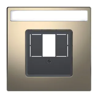 Merten Zentralplatte Nickelmetallic System Design
