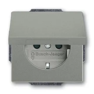 Busch-Jaeger Zentralscheibe 20 EUKB-803