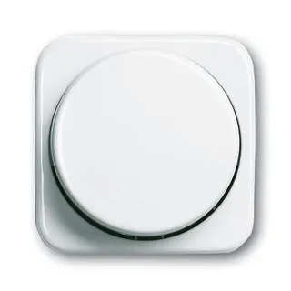 Busch-Jaeger Zentralscheibe 2115/11-214-500 Reflex-SI