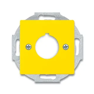 Busch-Jaeger Zentralscheibe 2533-82-15