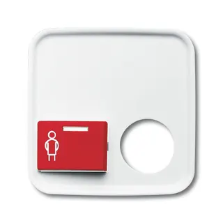 Busch-Jaeger Zentralscheibe 2548-022 B-214-101 Reflex-SI