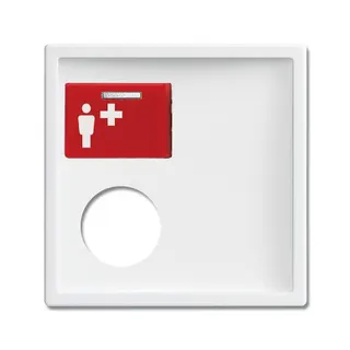 Busch-Jaeger Zentralscheibe 2548-071 E-84