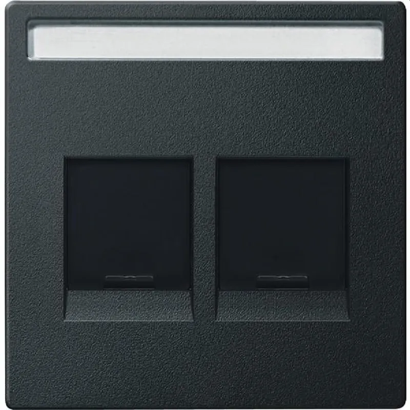 Merten Zentralplatte MEG4564-0414 2fach anthrazit